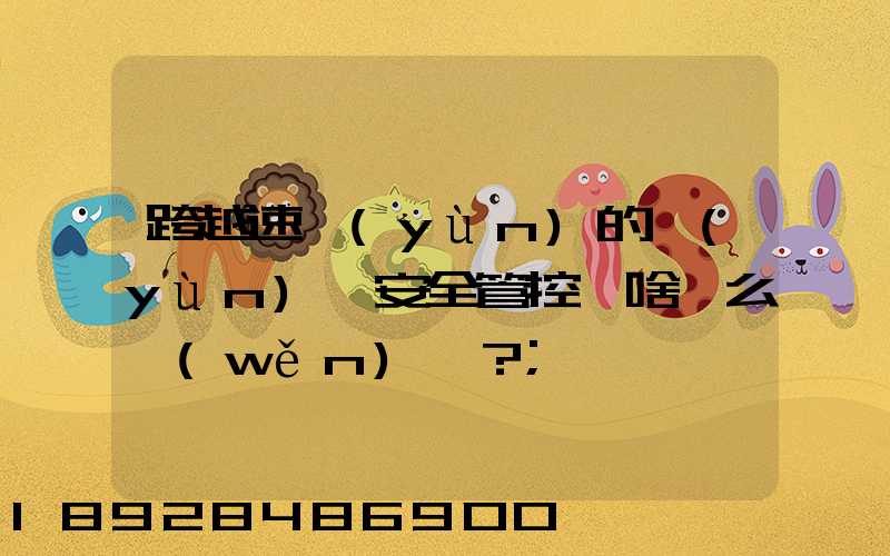 跨越速運(yùn)的運(yùn)輸安全管控為啥這么穩(wěn)？